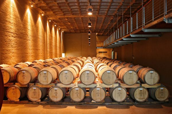 Groot-Constantia-4
