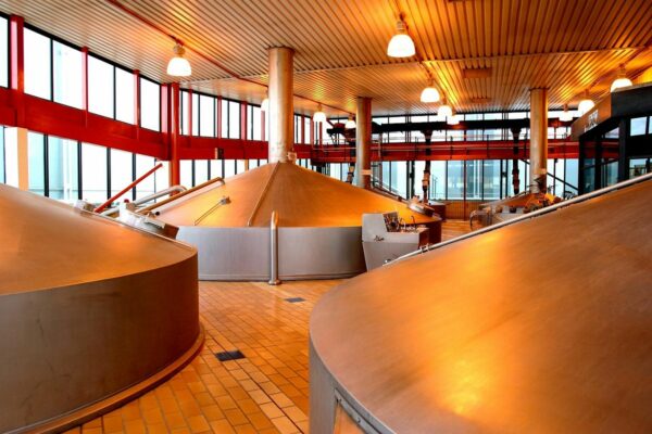 brewhouse-newlands-brewery