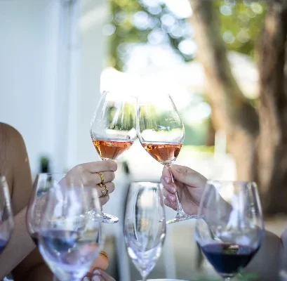 Blaauwklippen-Small-Image-Wine-Club-Wine-Glasses