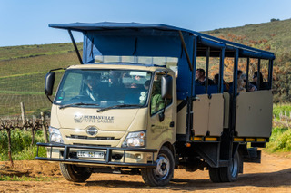 Durbanville Wine Safari 3